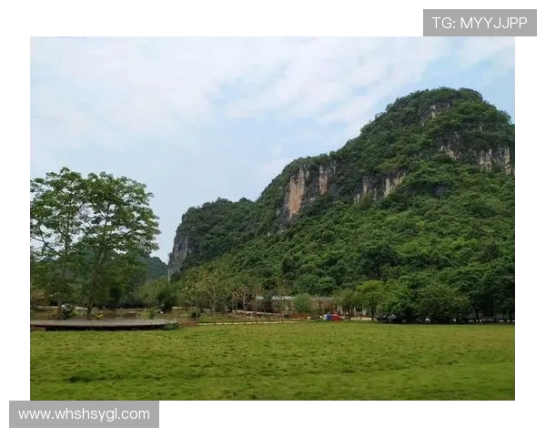 舞动人生的节奏与梦想王强的街舞故事与心路历程